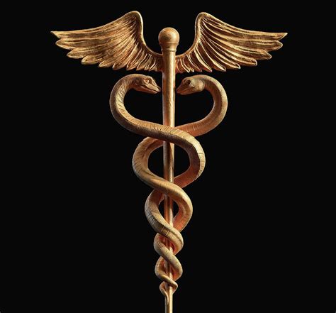 hermes uniud bortosso|Caduceus .